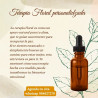 Terapia Floral Personalizada